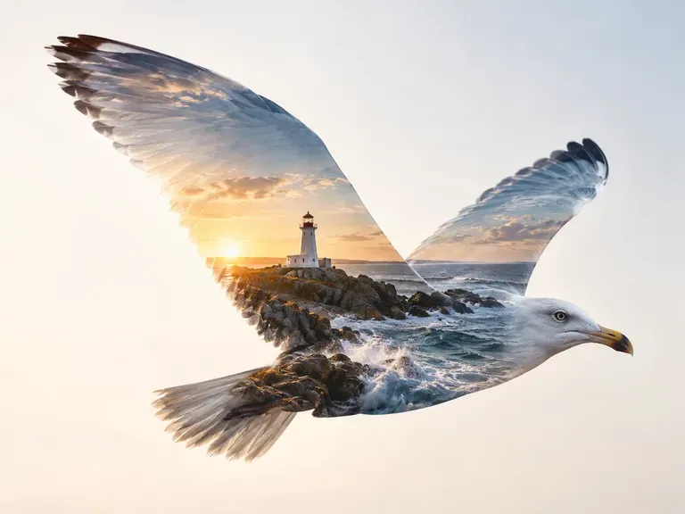 Photo-in-Photo Blends: one picture showing through another