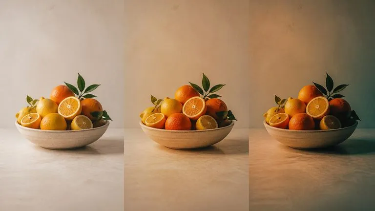 One photograph shown at light, standard and full transfer strength