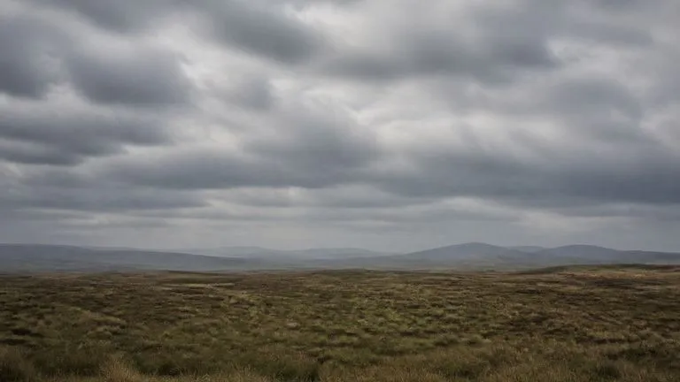 Landscape and Environment Plates