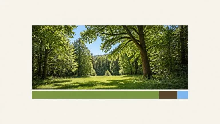 A proportional palette bar where each colour's width matches its share of the image